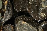 Septarian Dragon Egg Geode - Black Crystals #111232-1